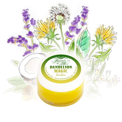 Dandelion Magic Balm